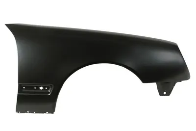 Aripa Dreapta potrivit MERCEDES E T-MODEL (S210), E (VF210), E (W210) 1999-2003 - (cu orificii ornament)
