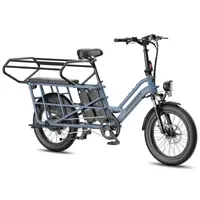 Bicicletă electrică Fafrees FF20 CUV Longtail, 12 Ah x 2 baterii, 250W