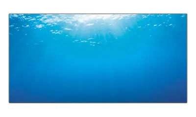 Juwel Decor Poster 2 L