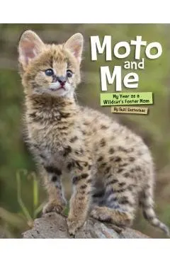 Moto and Me: My Year as a Wildcat's Foster Mom