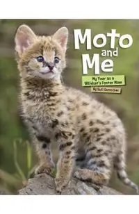 Moto and Me: My Year as a Wildcat's Foster Mom