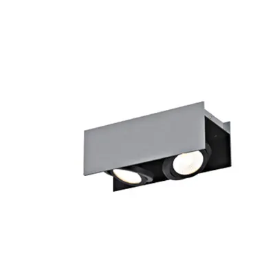 Vidago Pro / 2flg., DALI dimmable 2x9W 3000K silver IP20