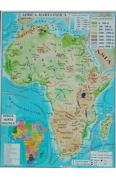 Africa + Australia
