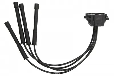 Bobina Inductie Potrivit Dacia Logan, Logan Ii, Logan Mcv Ii, Sandero, Sandero Ii; Renault Clio Ii, Clio Iii, Clio Iv, Kangoo, Kangoo Express, Logan Stepway Ii, Modus 1.0-1.6alk 03.99