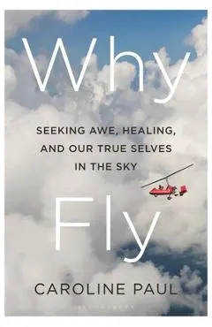Why Fly: Seeking Awe, Healing, and Our True Selves in the Sky