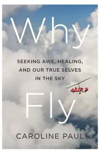 Why Fly: Seeking Awe, Healing, and Our True Selves in the Sky