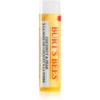 Burt’s Bees Lip Balm Coconut & Pear Balsam de buze hidratant 4.25 g