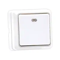 Intrerupator simplu cu LED Eco Premium aparent