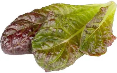 Semințe Click and Grow - Red Romaine lettuce, 3 rezerve