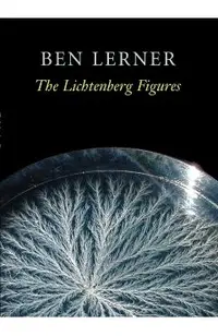 The Lichtenberg Figures
