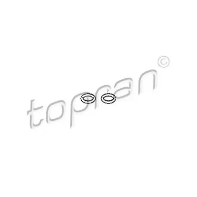 Garnitura filtru combustibil TOPRAN 110 676