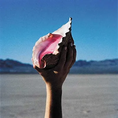 Wonderful Wonderful - Vinyl