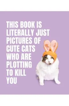 This Book is Literally Just Pictures of Cute Cats Who Are Plotting to Kill You