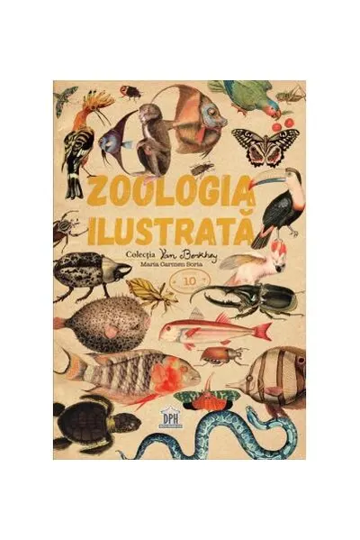 Zoologia ilustrată - Hardcover - Maria Carmen Soria