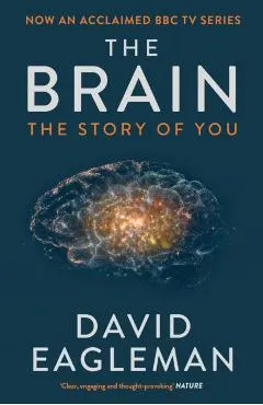 Brain