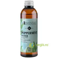 Apa de Menta Bio 100ml
