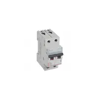 Siguranta automata 10000 - 16 kA - 2P - 230/400 V~ - 25 A - D curba