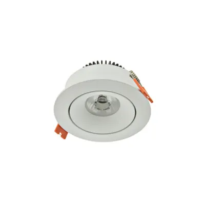 LED Downlight 100 - IP43 | CRI/RA 97 (Kardanisch) Warmwhite