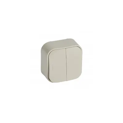 2 module Intrerupator cap scara pentruix- surface mounting - IP2X - 10 AX 250 V~ - ivory