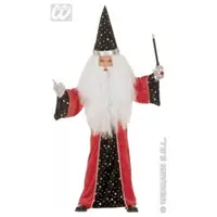 Costum carnaval copii - Micul Vrajitor