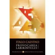 Provocarea labirintului. Eseuri