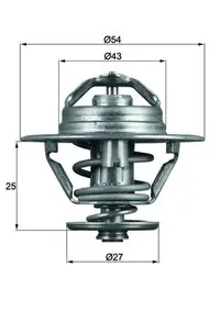 Termostat Lichid Racire (79 C) Potrivit Iveco Daily I, Daily Ii, Daily Iii, Zeta; Rvi Mascott, Messenger; Alfa Romeo Ar 6, Ar 8, Gtv; Fiat 131, 132, Argenta, Croma, Ducato 1.9d-3.7d 03.78-